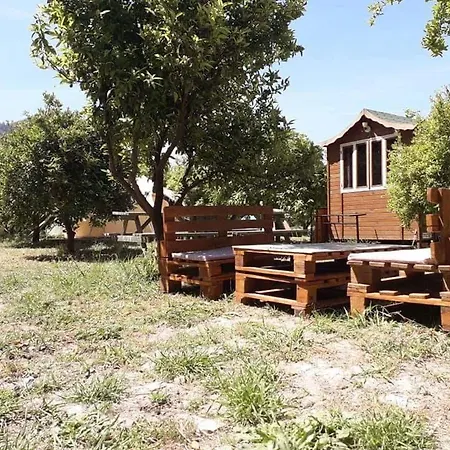 Jungle Camping Dalyan אתר קמפינג Ortaca (Mugla)