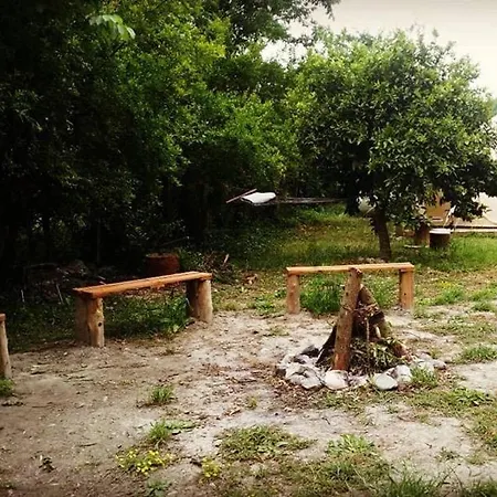 Jungle Camping Dalyan אתר קמפינג Ortaca (Mugla)