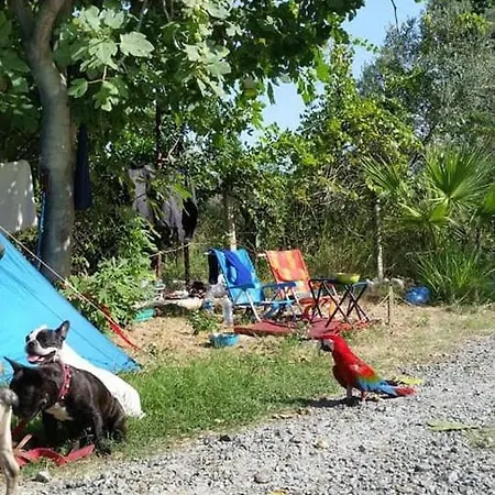 Jungle Camping Dalyan