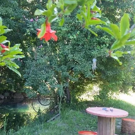 Jungle Camping Dalyan אתר קמפינג Ortaca (Mugla)