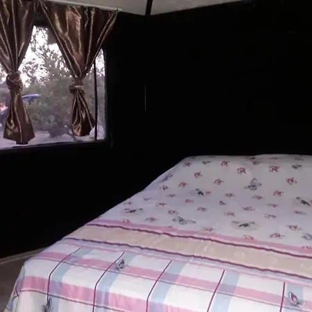 Jungle Camping Dalyan *