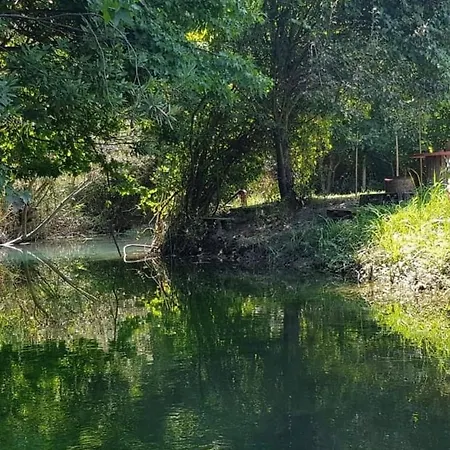 אתר קמפינג Jungle Camping Dalyan *