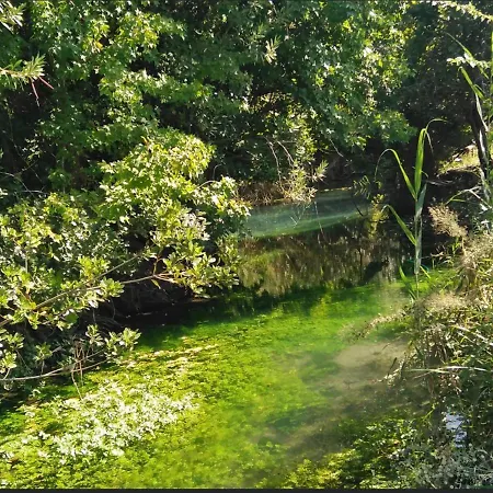 Jungle Camping Dalyan אתר קמפינג Ortaca (Mugla)