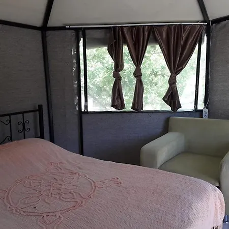 Jungle Camping Dalyan Camping
