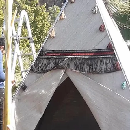 Jungle Camping Dalyan Camping