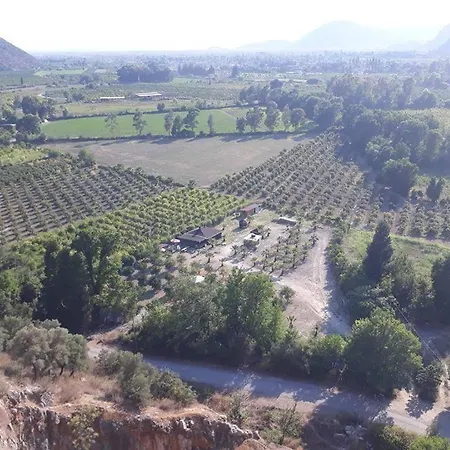 Jungle Camping Dalyan