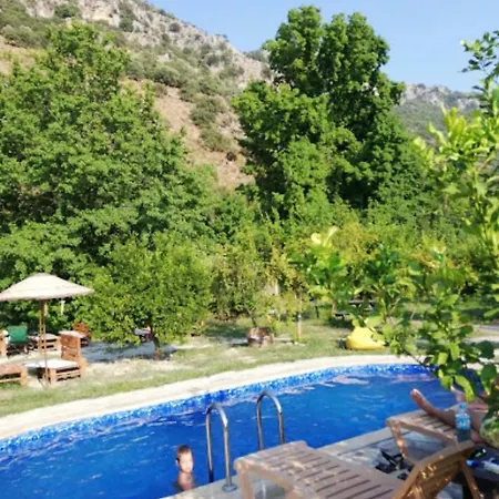 Jungle Camping Dalyan *